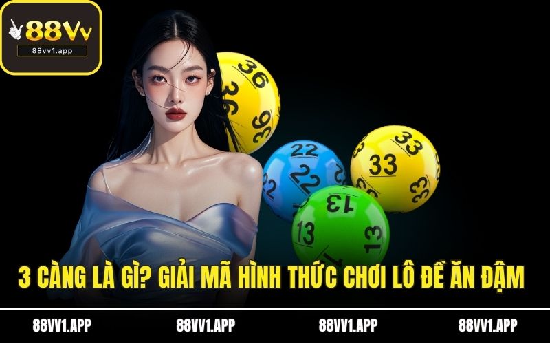 3 càng là gì